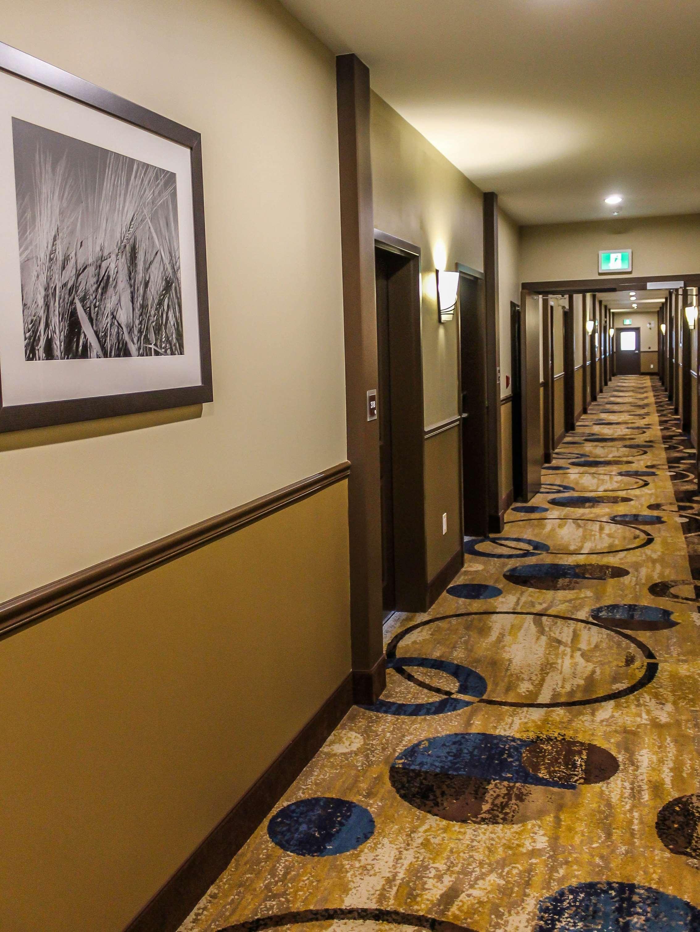 Best Western Plus Moosomin Hotel Extérieur photo